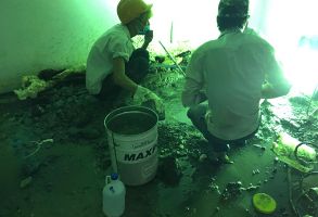 Công trình chống thấm Nam Vương