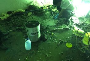 Công trình chống thấm Nam Vương