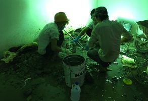 Công trình chống thấm Nam Vương